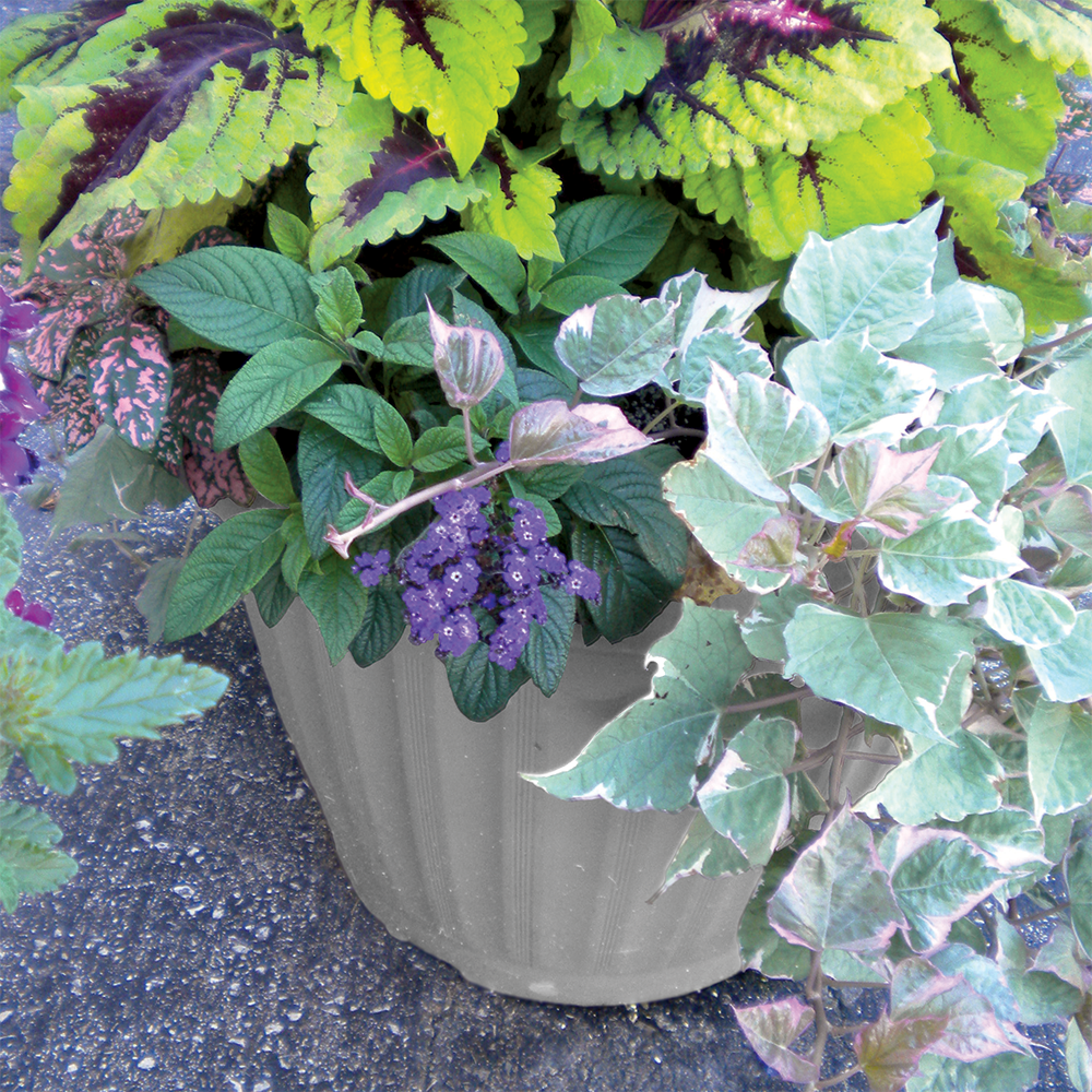 Decorative Planters